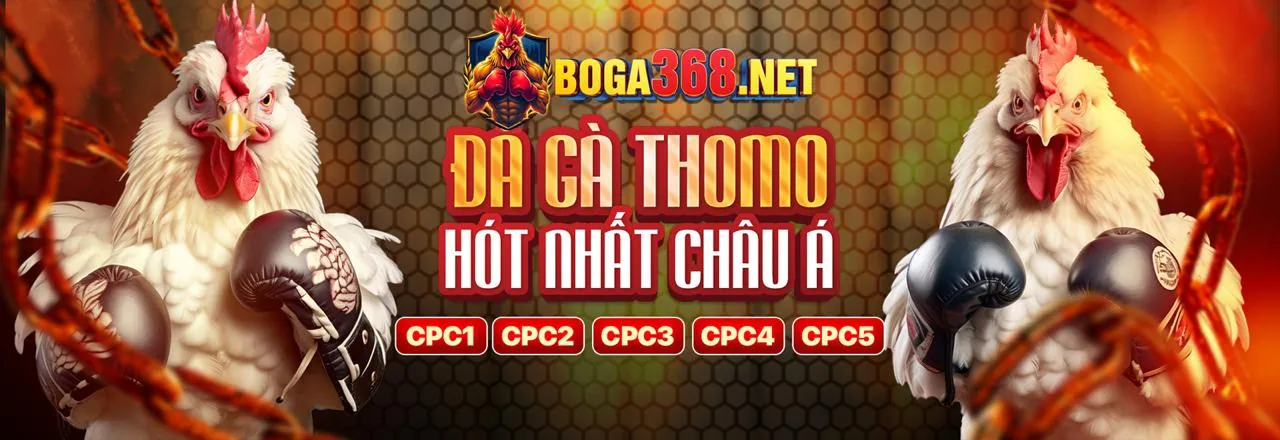 Hình ảnh tổng quan tin tức cá cược b99 chính thức