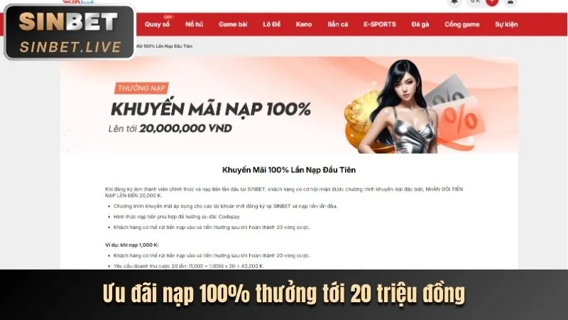 Khuyến Mãi Hấp Dẫn & Thường Xuyên Cập Nhật